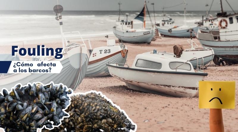 qué es fouling y cómo afecta a los barcos