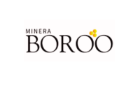 Boroo-Logo